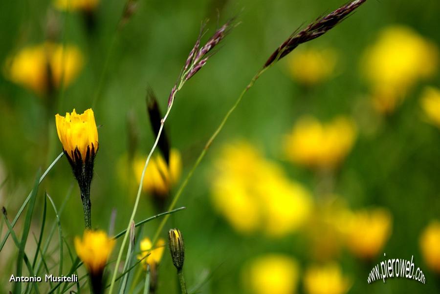 14 Colori della natura3.jpg